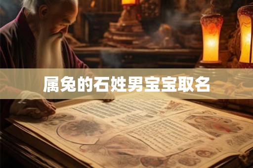 属兔的石姓男宝宝取名