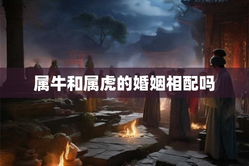 属牛和属虎的婚姻相配吗