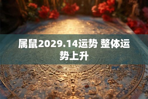 属鼠2029.14运势 整体运势上升