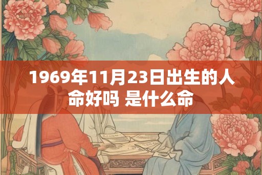 1969年11月23日出生的人命好吗 是什么命