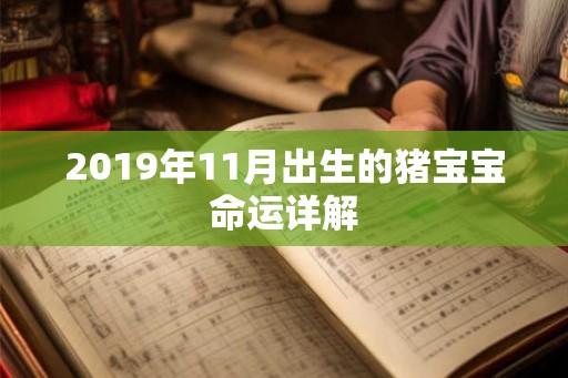 2019年11月出生的猪宝宝命运详解 2019年11月出生的猪宝宝命运详解