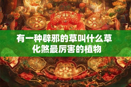 有一种辟邪的草叫什么草  化煞最厉害的植物