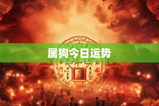 属狗今日运势
