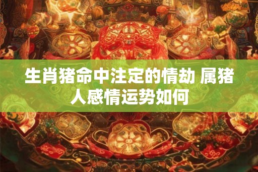 生肖猪命中注定的情劫 属猪人感情运势如何