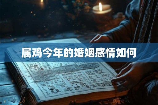 属鸡今年的婚姻感情如何