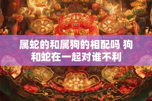 属蛇的和属狗的相配吗 狗和蛇在一起对谁不利