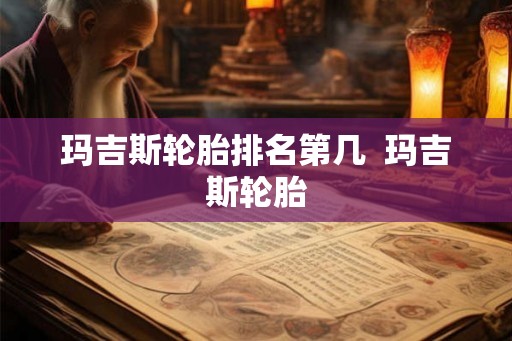 玛吉斯轮胎排名第几  玛吉斯轮胎