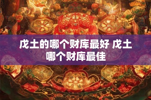 戊土的哪个财库最好 戊土哪个财库最佳