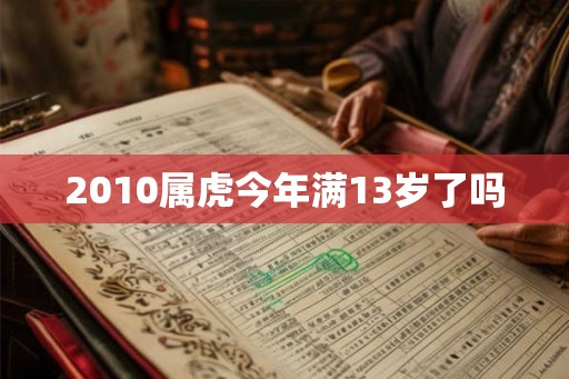 2010属虎今年满13岁了吗