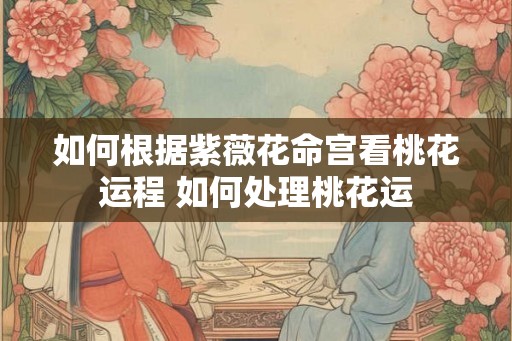 如何根据紫薇花命宫看桃花运程 如何处理桃花运