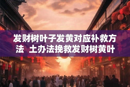 发财树叶子发黄对应补救方法  土办法挽救发财树黄叶子