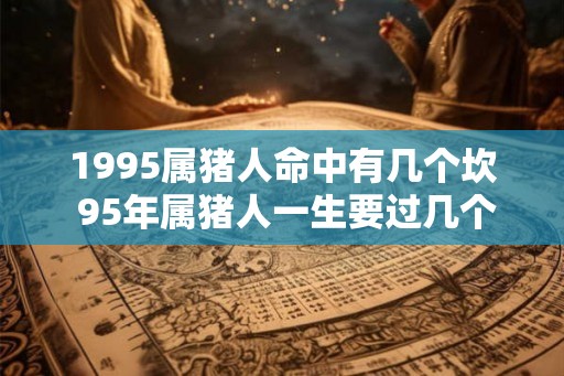 1995属猪人命中有几个坎 95年属猪人一生要过几个难关 1995属猪人命中有几个坎 95年属猪人一生要过几个难关