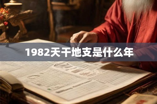 1982天干地支是什么年