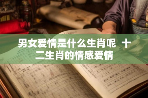 男女爱情是什么生肖呢  十二生肖的情感爱情