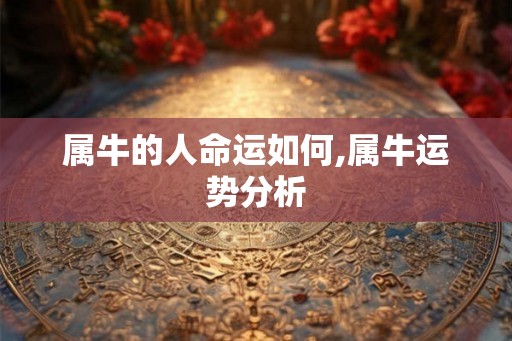 属牛的人命运如何,属牛运势分析