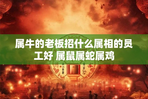属牛的老板招什么属相的员工好 属鼠属蛇属鸡 属牛的老板招什么属相的员工好 属鼠属蛇属鸡