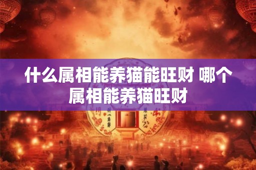 什么属相能养猫能旺财 哪个属相能养猫旺财