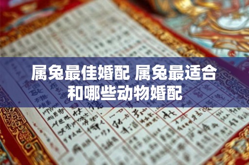 属兔最佳婚配 属兔最适合和哪些动物婚配