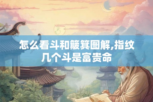 怎么看斗和簸箕图解,指纹几个斗是富贵命