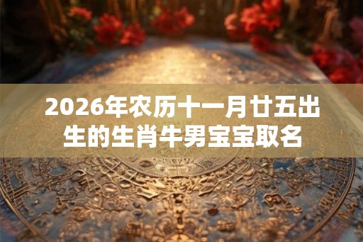 2026年农历十一月廿五出生的生肖牛男宝宝取名