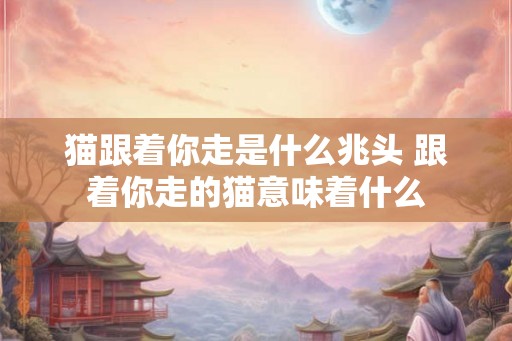 猫跟着你走是什么兆头 跟着你走的猫意味着什么