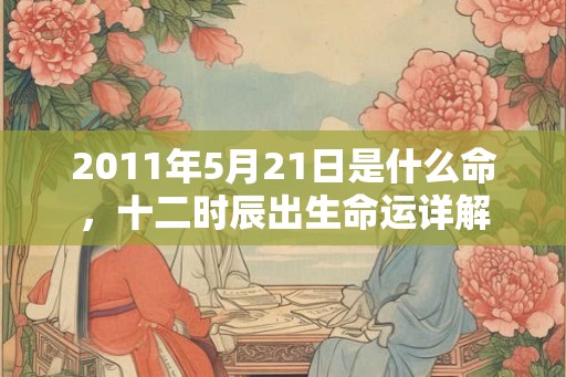 2011年5月21日是什么命，十二时辰出生命运详解
