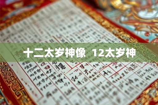 十二太岁神像  12太岁神