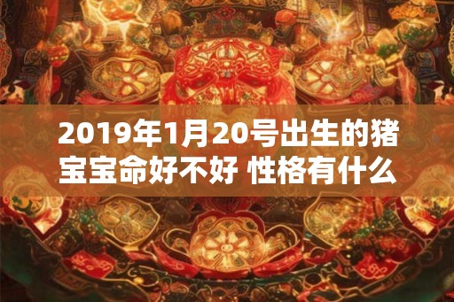2019年1月20号出生的猪宝宝命好不好 性格有什么特点 2019年1月20号出生的猪宝宝命好不好 性格有什么特点