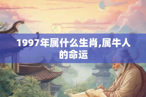 1997年属什么生肖,属牛人的命运