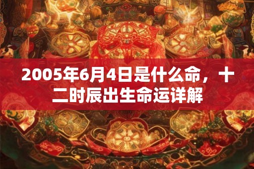 2005年6月4日是什么命，十二时辰出生命运详解