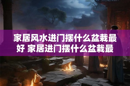 家居风水进门摆什么盆栽最好 家居进门摆什么盆栽最好