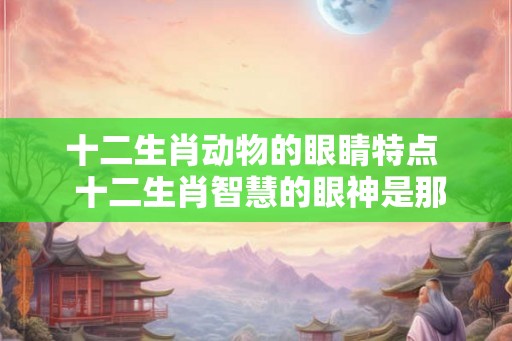 十二生肖动物的眼睛特点  十二生肖智慧的眼神是那个