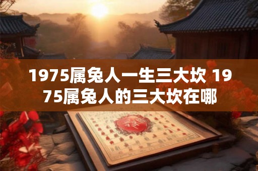 1975属兔人一生三大坎 1975属兔人的三大坎在哪