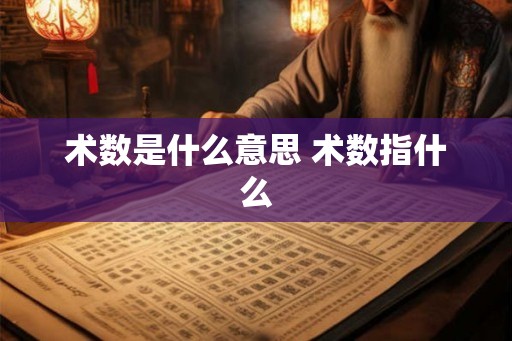 术数是什么意思 术数指什么