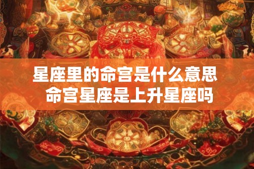 星座里的命宫是什么意思  命宫星座是上升星座吗