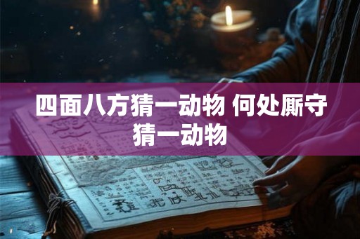 四面八方猜一动物 何处厮守猜一动物