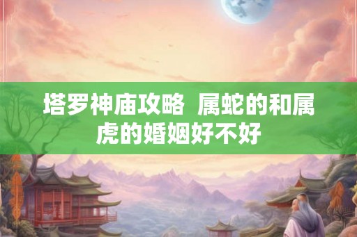 塔罗神庙攻略  属蛇的和属虎的婚姻好不好