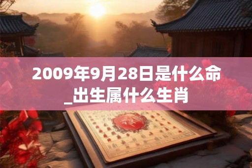 2009年9月28日是什么命_出生属什么生肖