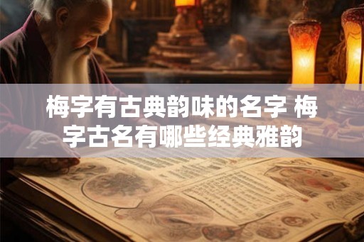 梅字有古典韵味的名字 梅字古名有哪些经典雅韵 梅字有古典韵味的名字 梅字古名有哪些经典雅韵