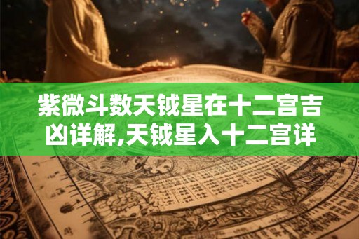 紫微斗数天钺星在十二宫吉凶详解,天钺星入十二宫详解