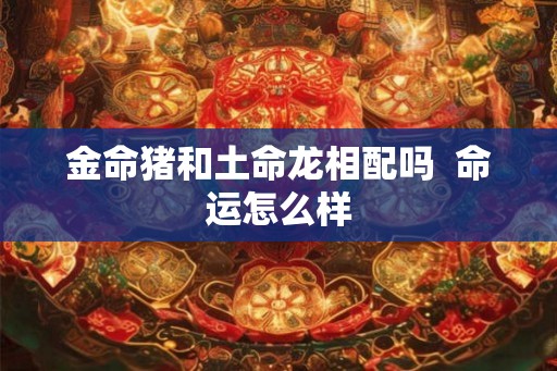 金命猪和土命龙相配吗  命运怎么样