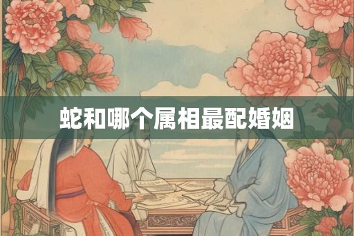 蛇和哪个属相最配婚姻