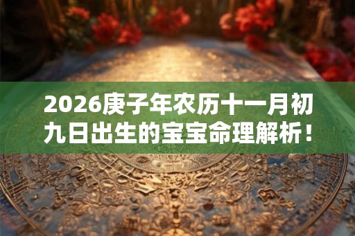 2026庚子年农历十一月初九日出生的宝宝命理解析！