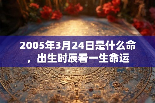 2005年3月24日是什么命，出生时辰看一生命运