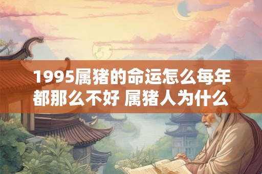 1995属猪的命运怎么每年都那么不好 属猪人为什么那么倒霉