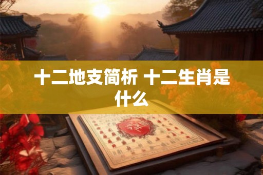 十二地支简析 十二生肖是什么 十二地支简析 十二生肖是什么