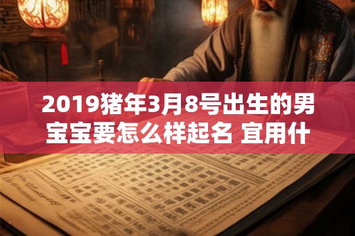 2019猪年3月8号出生的男宝宝要怎么样起名 宜用什么字