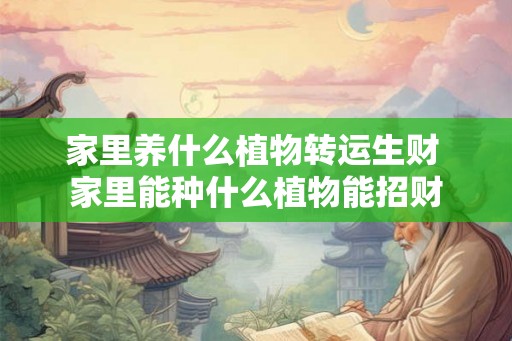 家里养什么植物转运生财 家里能种什么植物能招财