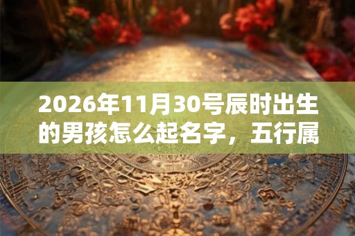 2026年11月30号辰时出生的男孩怎么起名字，五行属什么