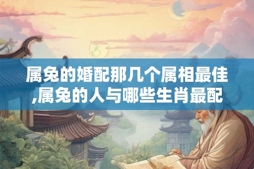 属兔的婚配那几个属相最佳,属兔的人与哪些生肖最配？